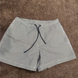 Zara Bluegray and White Striped swim Shorts